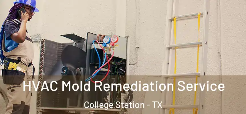 HVAC Mold Remediation Service College Station - TX