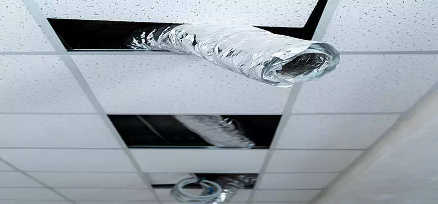 Our Air Duct Pet Hair Removal Services in College Station, TX