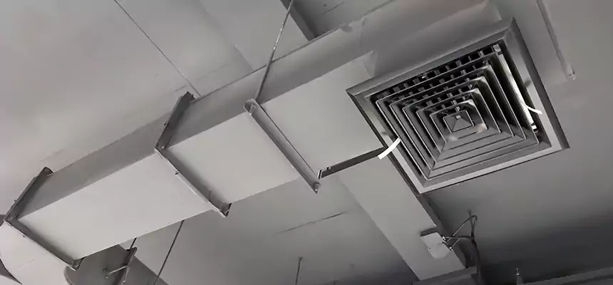 Restorative Allergy Relief Vent Cleaning – Coil, Blower & Housing Detail in College Station