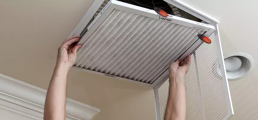 Our Insect Removal from Air Ducts Services in College Station, TX