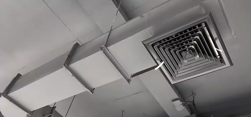 Our Pest Removal From Ducts Services in College Station, TX