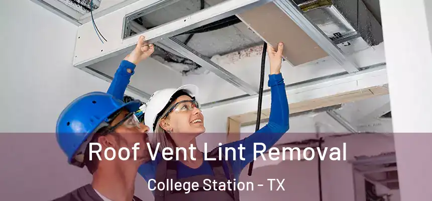 Roof Vent Lint Removal College Station - TX