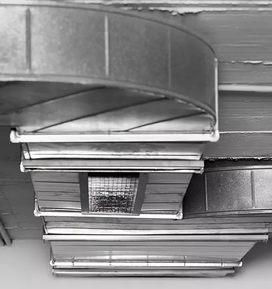 Professional Air Duct Pest Removal in College Station, TX