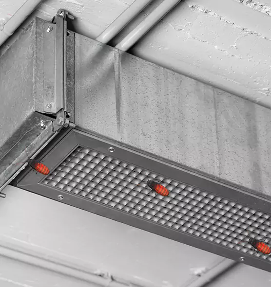 Affordable Insect Removal from Air Ducts in College Station, TX