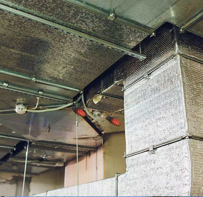 Why Homeowners & Businesses Trust Us in College Station, TX?