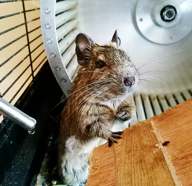 Why Homeowners & Businesses Trust Us College Station, TX?