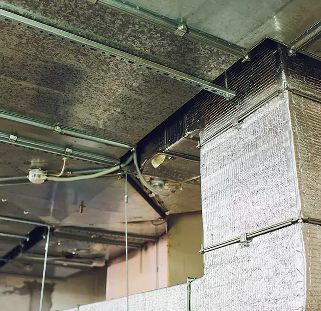 Why Homeowners & Businesses Trust Us in College Station, TX?